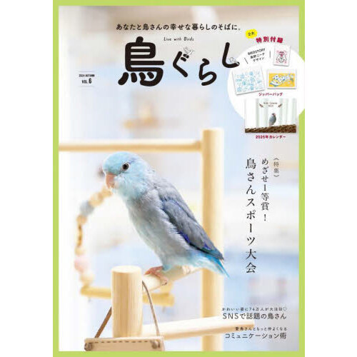 イタリア製【THUN】大型陶器 インコ オウム テディベア おしく