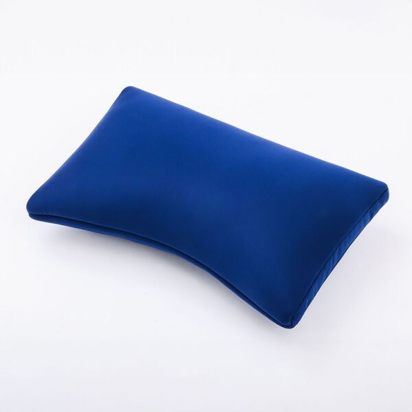 睡眠欲 nishikawa とろふわ仕上げ 天使の深睡眠マクラBOOK (宝島社