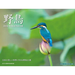 野鳥カレンダー２０２６