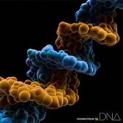 DNA（DVD付）