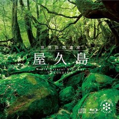 世界自然遺産「屋久島」