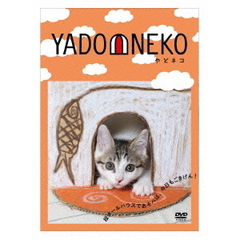 YADONEKO －やどネコ－（ＤＶＤ）