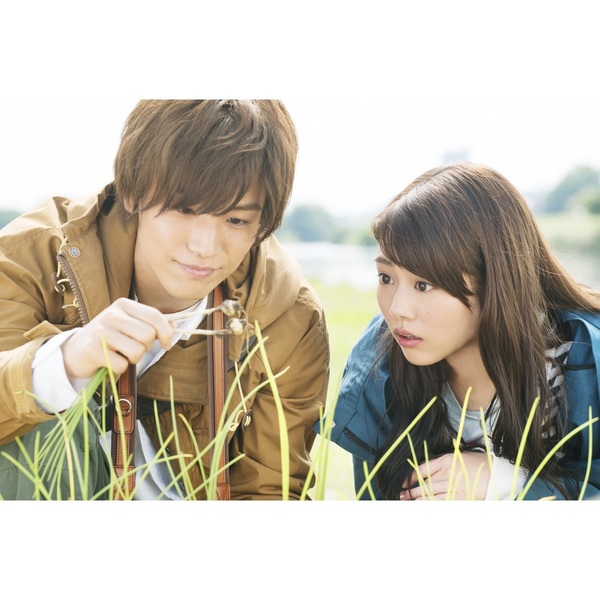 植物図鑑 運命の恋、ひろいました（DVD） 通販｜セブンネット