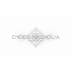 PS5　ENDER MAGNOLIA: Bloom in the Mist 限定版