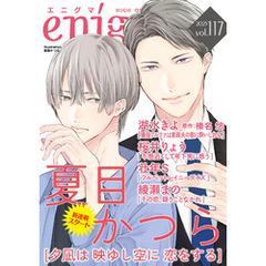 enigma vol．117