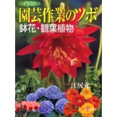 園芸作業のツボ鉢花・観葉植物　イラスト