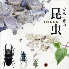安永一正の昆虫