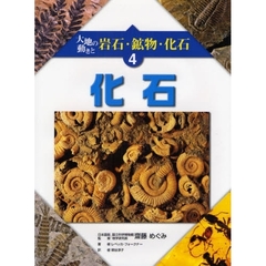大地の動きと岩石・鉱物・化石　４　化石