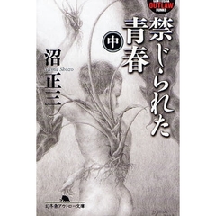 禁じられた青春　中