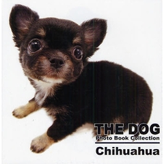 ＴＨＥ　ＤＯＧ　Ｐｈｏｔｏ　Ｂｏｏｋ　Ｃｏｌｌｅｃｔｉｏｎ　Ｃｈｉｈｕａｈｕａ
