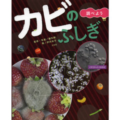 カビのふしぎ　調べよう