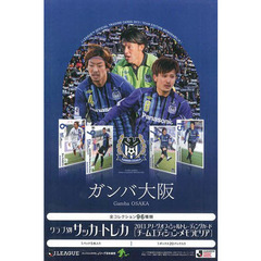 ＢＢＭカード　’１３　ガンバ大阪