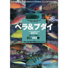 ベラ＆ブダイ　日本で見られる１９２種＋幼魚、成魚、雌雄、婚姻色のバリエーション　ひと目で特徴がわかる図解付き