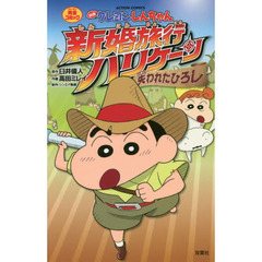 映画クレヨンしんちゃん完全コミック新婚旅行ハリケーン失われたひろし