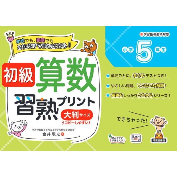 初級算数習熟プリント小学5年生 大判サイズ 通販｜セブンネット