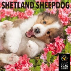 シェットランド・シープドッグ 2025年カレンダー