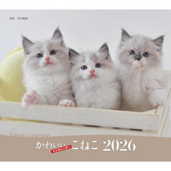 ２０２６ミニカレンダーかわいいこねこ