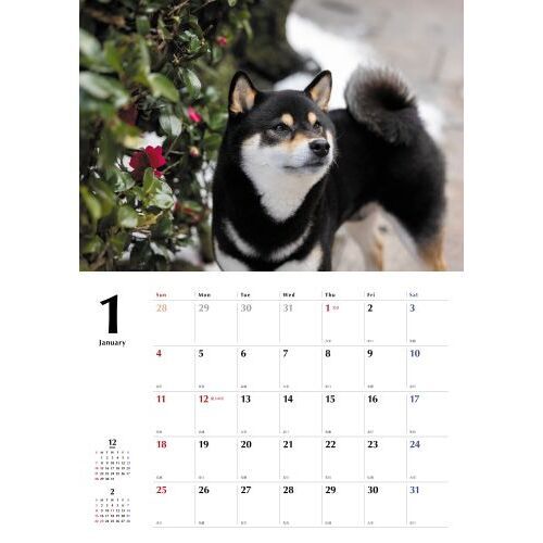 黒柴Calendar2026 通販｜セブンネットショッピング