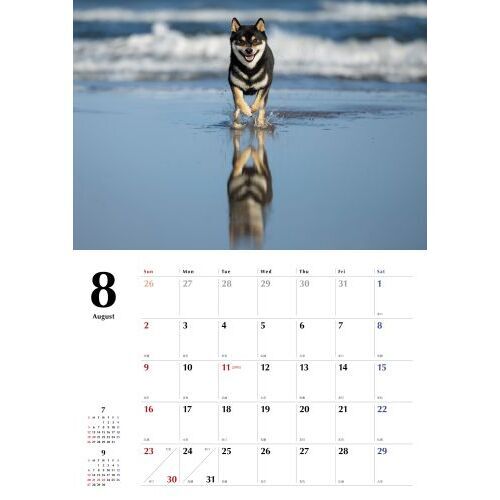 黒柴Calendar2026 通販｜セブンネットショッピング