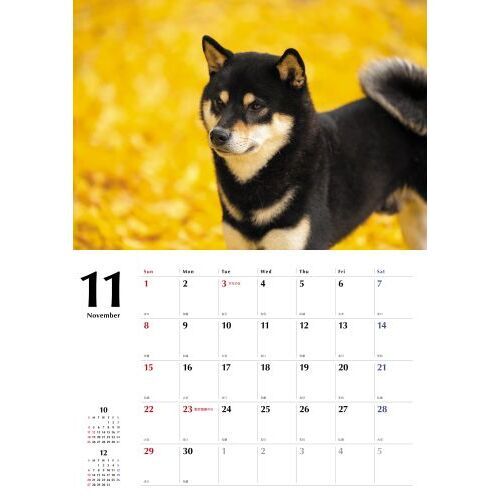 黒柴Calendar2026 通販｜セブンネットショッピング