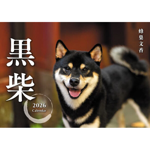 柴っち(6/25〜6/26購入) 黒柴カレンダー 2026 通販｜セブンネットショッピング