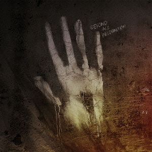 ֥ͥåȥåԥ󥰤㤨BEYONDALLRECOGNITIONפβǤʤ2,090ߤˤʤޤ