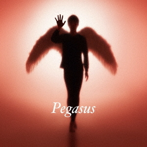 ֥ͥåȥåԥ󥰤㤨١Pegasus ʽסMAXISG+2CDˡפβǤʤ3,300ߤˤʤޤ