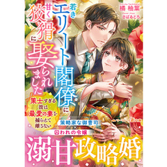 若きエリート閣僚に甘く狡猾に娶られました～策士すぎる彼は最愛の妻を捕らえて離さない～