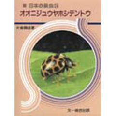 オオニジュウヤホシテントウ