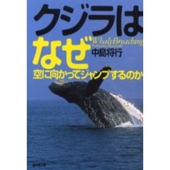 クジラはなぜ空に向かってジャンプするのか