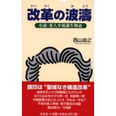 改革の波涛　小説・変人宰相誕生物語