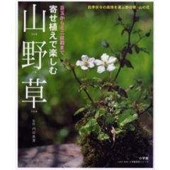 寄せ植えで楽しむ山野草　苔玉からミニ盆栽まで　四季折々の風情を運ぶ野の草・山の花