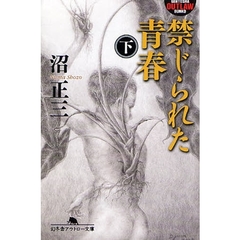 禁じられた青春　下