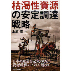 枯渇性資源の安定調達戦略