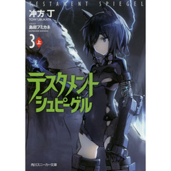 テスタメントシュピーゲル　３上