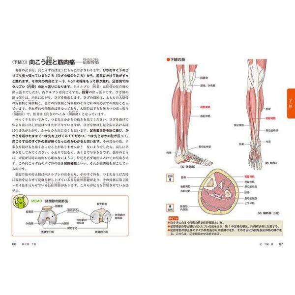 ラッピング対象外 絶版:解剖学ノート9/10上肢と下肢の解剖(フランス語