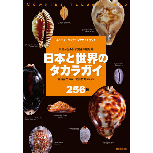 日本と世界のタカラガイ 自然が生み出す驚きの造形美 ２５６種 通販