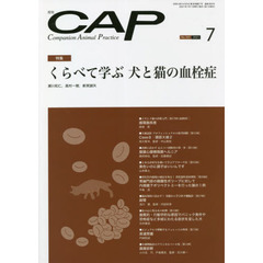 ＣＡＰ　３８５