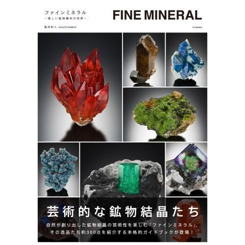 宝石・鉱物関連本4冊　驚異の標本箱ー鉱物ー　ファインミネラル　鉱物画　珍奇鉱物 驚異の標本箱 ‐鉱物‐