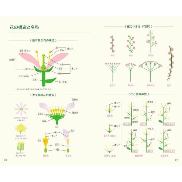 見わけがすぐつく花図鑑 通販｜セブンネットショッピング