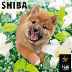 柴 2025年カレンダー