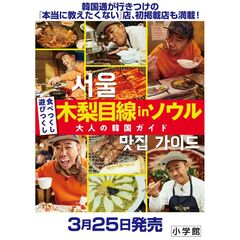 木梨目線 in ソウル 食べつくし遊びつくし 大人の韓国ガイド