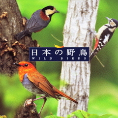 ＜COLEZO！＞自然音　日本の野鳥