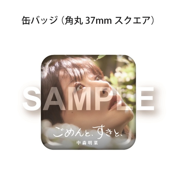 中森明菜／ごめんと、すきと、（デラックス・エディション／2CD