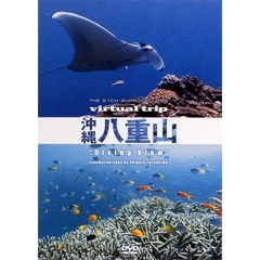 virtual trip 沖縄八重山 Diving View（ＤＶＤ）