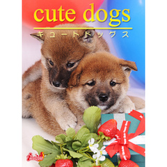 cute dogs05 柴犬