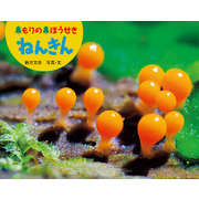 もりの　ほうせき　ねんきん