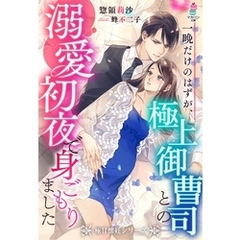 一晩だけのはずが、極上御曹司との溺愛初夜で身ごもりました【極甘懐妊シリーズ】