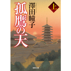 孤鷹の天　上〈新装版〉