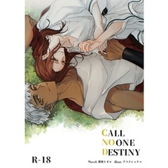 CALL NO ONE DESTINY